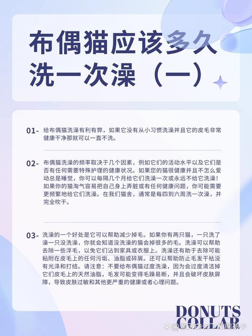 猫咪一般多久洗一次澡_猫咪一年不洗澡会怎么样-第4张图片-后鲨宠物 猫咪一般多久洗一次澡_猫咪一年不洗澡会怎么样-第4张图片-后鲨宠物