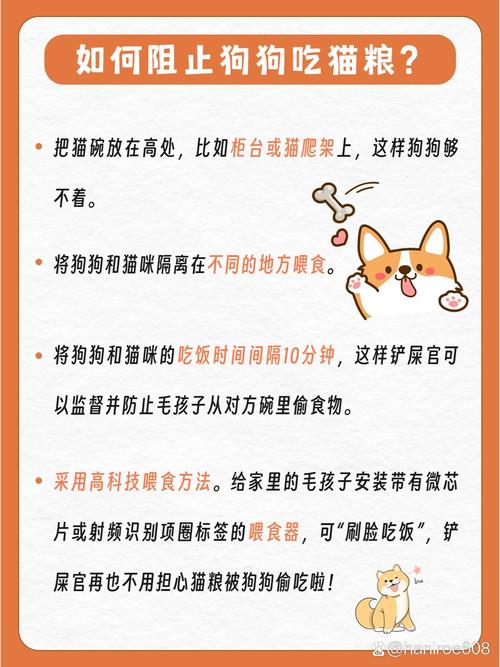 猫粮能给狗狗吃吗,猫粮能给狗狗吃吗??-第1张图片-后鲨宠物 猫粮能给狗狗吃吗,猫粮能给狗狗吃吗??-第1张图片-后鲨宠物