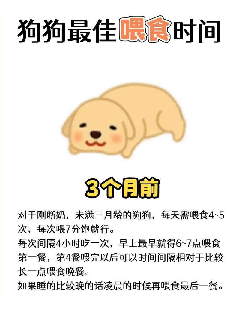 狗狗吃狗粮好还是吃饭好_狗一天喂一次的好处-第5张图片-后鲨宠物 狗狗吃狗粮好还是吃饭好_狗一天喂一次的好处-第5张图片-后鲨宠物