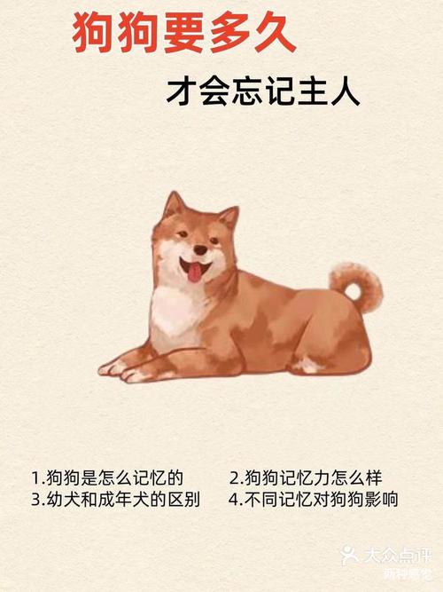 狗狗的记忆有多久，狗狗的记忆力有多长时间？-第3张图片-后鲨宠物