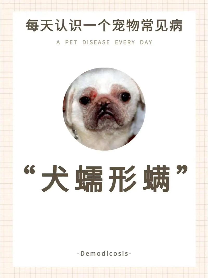 狗狗身上的螨虫怎么治_狗身上螨虫怎么去除简单方法如下-第3张图片-后鲨宠物 狗狗身上的螨虫怎么治_狗身上螨虫怎么去除简单方法如下-第3张图片-后鲨宠物