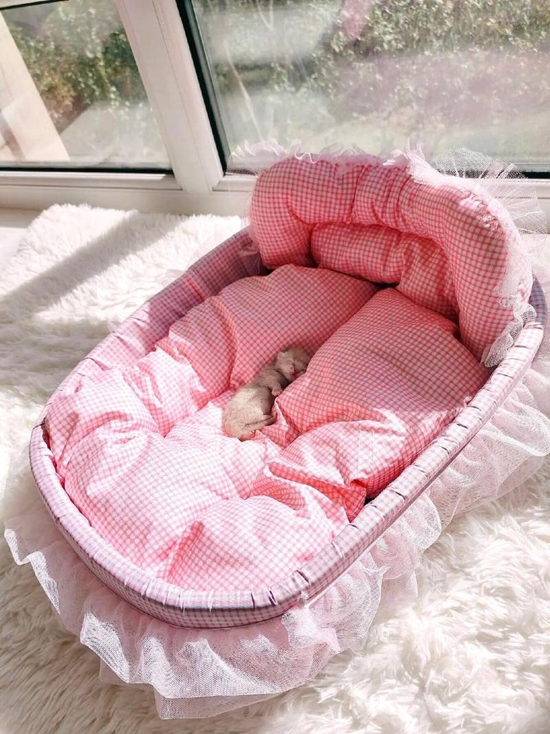 猫咪喜欢什么样的窝,猫咪喜欢什么样的窝 新手养猫注意的问题-第2张图片-后鲨宠物 猫咪喜欢什么样的窝,猫咪喜欢什么样的窝 新手养猫注意的问题-第2张图片-后鲨宠物