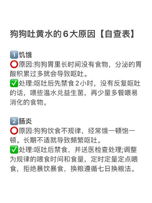 狗狗怀孕会吐黄水吗,狗狗怀孕会吐吗白沫吗?-第1张图片-后鲨宠物 狗狗怀孕会吐黄水吗,狗狗怀孕会吐吗白沫吗?-第1张图片-后鲨宠物