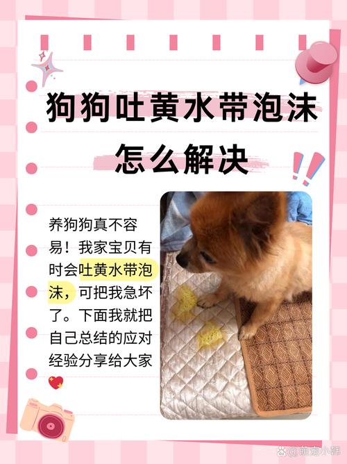 狗狗怀孕会吐黄水吗,狗狗怀孕会吐吗白沫吗?-第6张图片-后鲨宠物 狗狗怀孕会吐黄水吗,狗狗怀孕会吐吗白沫吗?-第6张图片-后鲨宠物