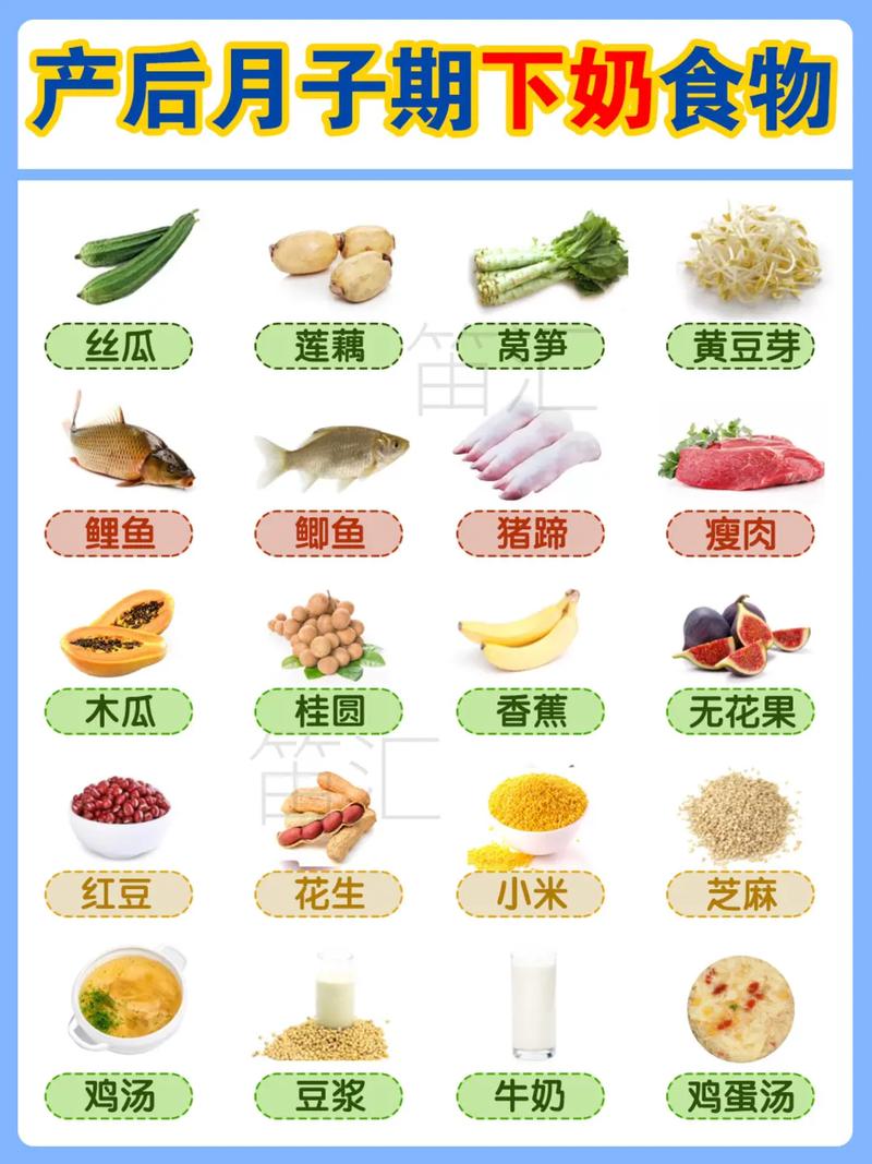狗狗产后吃什么下奶,狗生几个狗是好兆头-第3张图片-后鲨宠物 狗狗产后吃什么下奶,狗生几个狗是好兆头-第3张图片-后鲨宠物