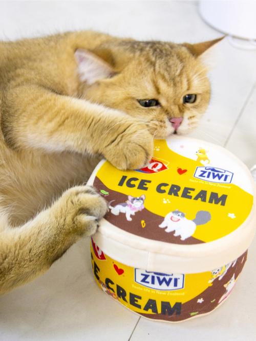 猫咪能吃雪糕吗,猫咪可以吃雪糕不-第3张图片-后鲨宠物 猫咪能吃雪糕吗,猫咪可以吃雪糕不-第3张图片-后鲨宠物