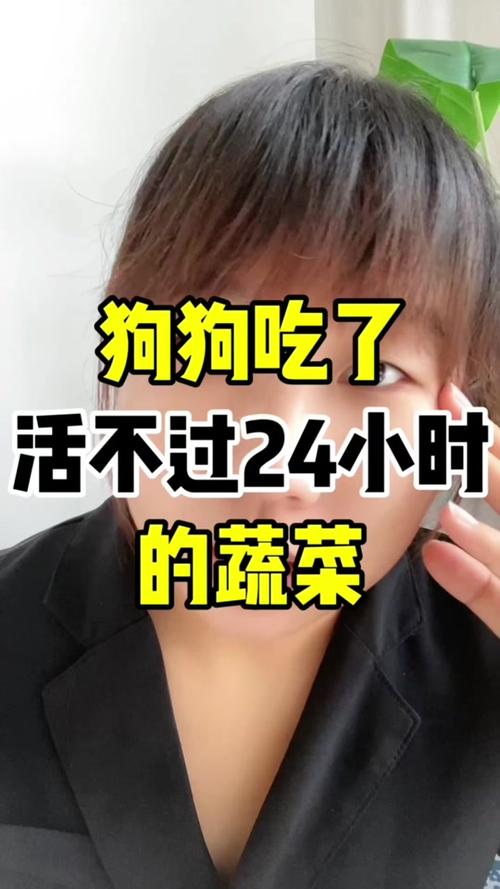 狗狗吃韭菜会致命吗_狗狗吃韭菜会致命吗为什么-第5张图片-后鲨宠物 狗狗吃韭菜会致命吗_狗狗吃韭菜会致命吗为什么-第5张图片-后鲨宠物