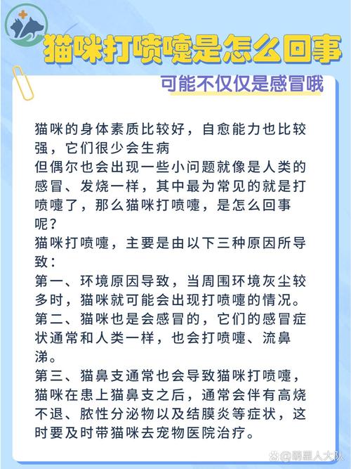  猫咪一直打喷嚏怎么回事，猫咪打喷嚏怎么回事精神好-第1张图片-后鲨宠物