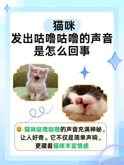  猫咪咕噜咕噜的，猫咪咕噜咕噜的喉咙里像有痰一样-第4张图片-后鲨宠物