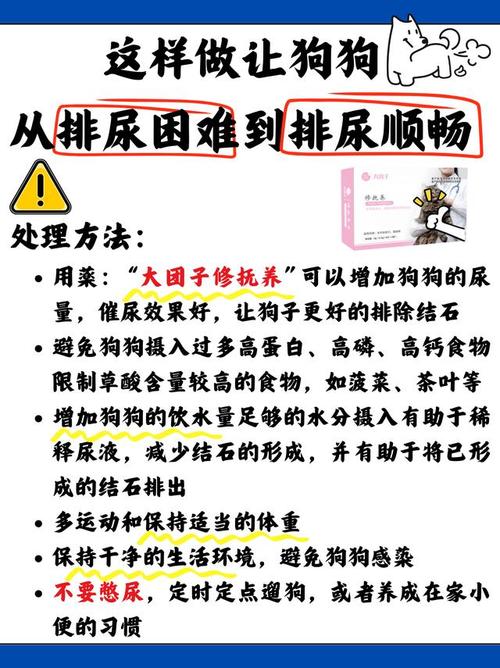 如何刺激狗狗排尿_刺激狗狗排尿的音乐叫什么-第4张图片-后鲨宠物 如何刺激狗狗排尿_刺激狗狗排尿的音乐叫什么-第4张图片-后鲨宠物