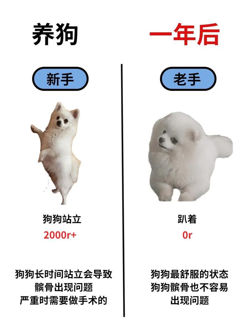 如何刺激狗狗排尿_刺激狗狗排尿的音乐叫什么-第5张图片-后鲨宠物 如何刺激狗狗排尿_刺激狗狗排尿的音乐叫什么-第5张图片-后鲨宠物