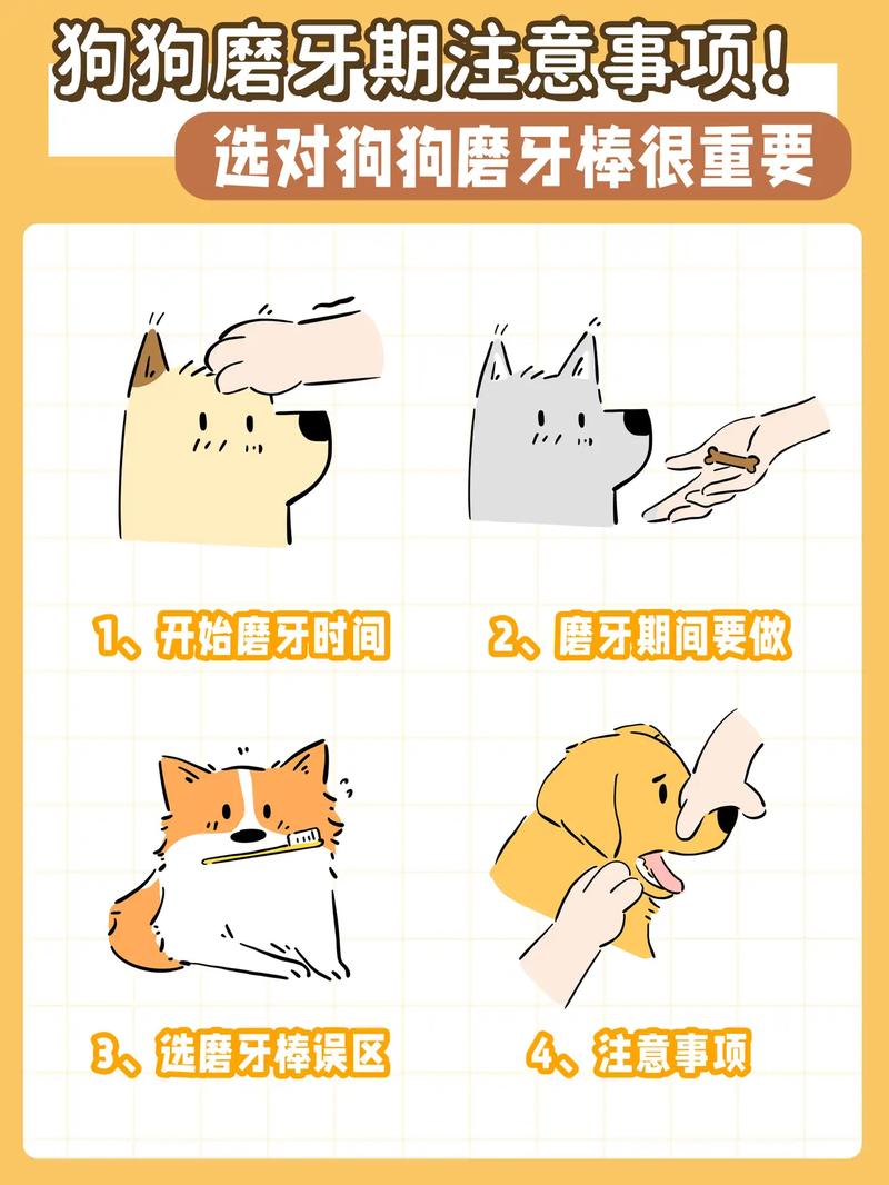 狗狗磨牙怎么办,狗狗磨牙期表现-第6张图片-后鲨宠物 狗狗磨牙怎么办,狗狗磨牙期表现-第6张图片-后鲨宠物