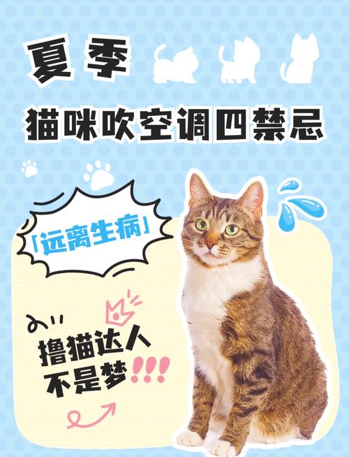  猫咪可以吹空调吗，猫可以吹空调暖风吗-第2张图片-后鲨宠物