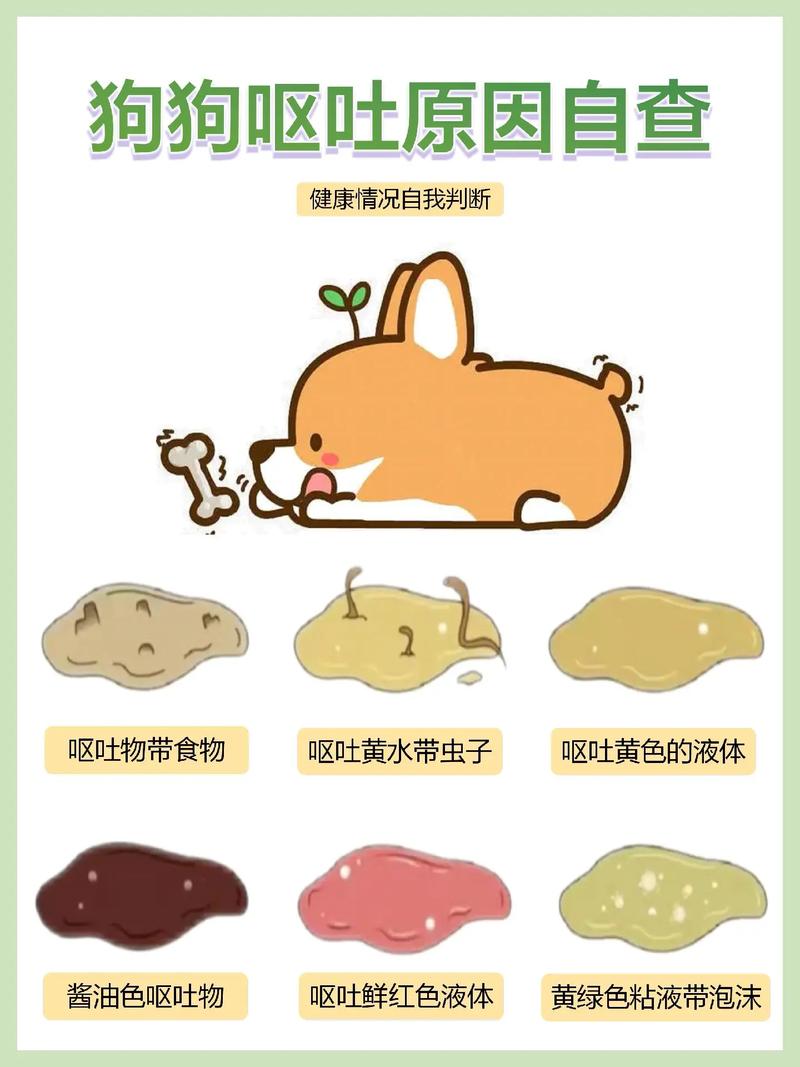 狗狗拉稀呕吐是怎么回事_狗狗拉稀呕吐是怎么回事?-第2张图片-后鲨宠物 狗狗拉稀呕吐是怎么回事_狗狗拉稀呕吐是怎么回事?-第2张图片-后鲨宠物