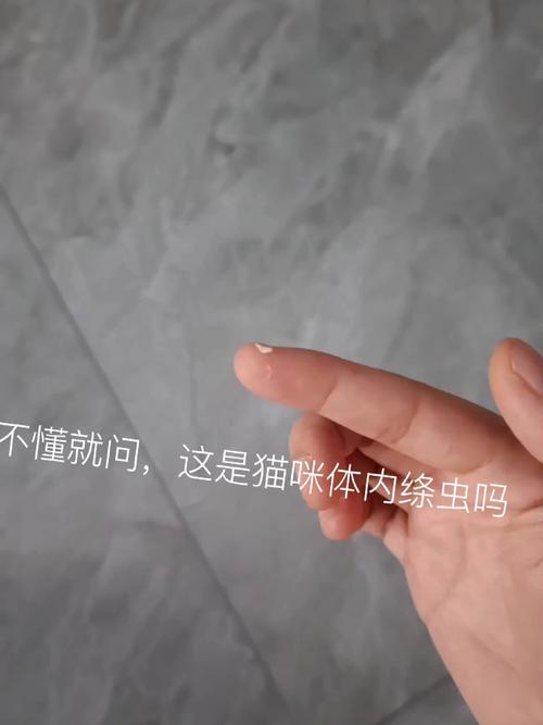 猫咪体内有虫怎么办,猫咪体内有虫怎么办吃什么药?-第2张图片-后鲨宠物 猫咪体内有虫怎么办,猫咪体内有虫怎么办吃什么药?-第2张图片-后鲨宠物