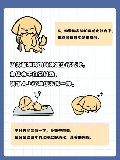 狗狗全身发抖是怎么回事,狗狗全身发抖是什么原因?-第5张图片-后鲨宠物 狗狗全身发抖是怎么回事,狗狗全身发抖是什么原因?-第5张图片-后鲨宠物