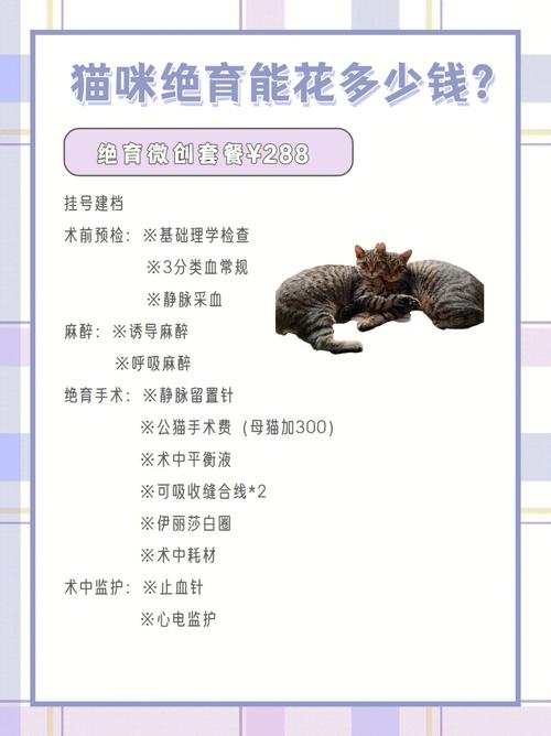 给猫咪做绝育要多少钱_给猫咪做绝育要多少钱?-第1张图片-后鲨宠物 给猫咪做绝育要多少钱_给猫咪做绝育要多少钱?-第1张图片-后鲨宠物