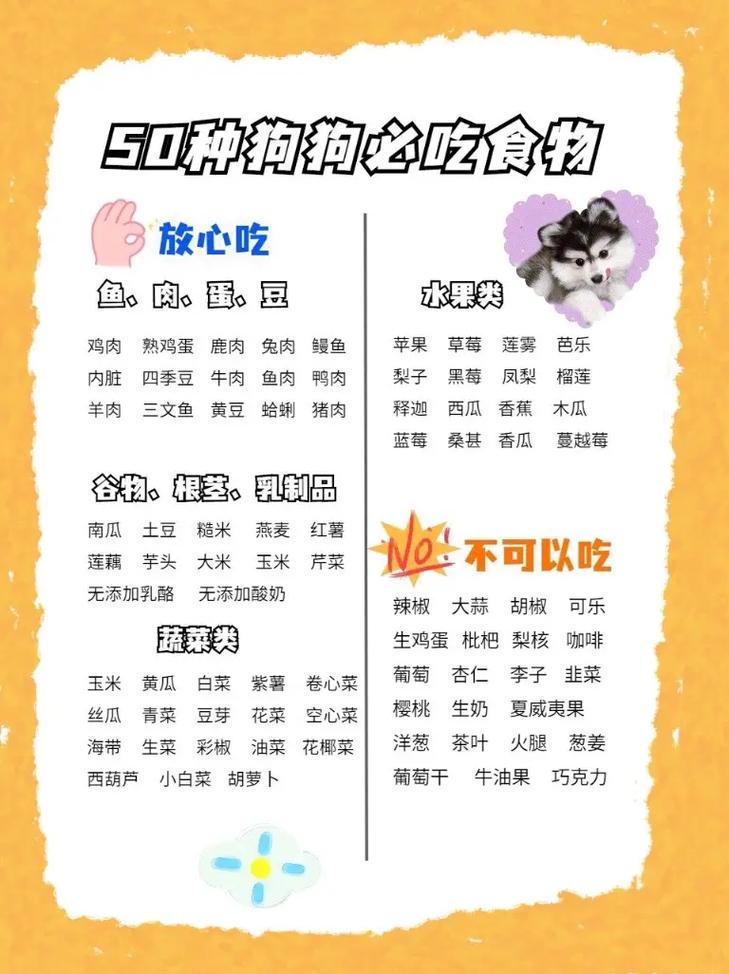 狗狗可以吃的东西,狗狗能吃的东西-第2张图片-后鲨宠物 狗狗可以吃的东西,狗狗能吃的东西-第2张图片-后鲨宠物