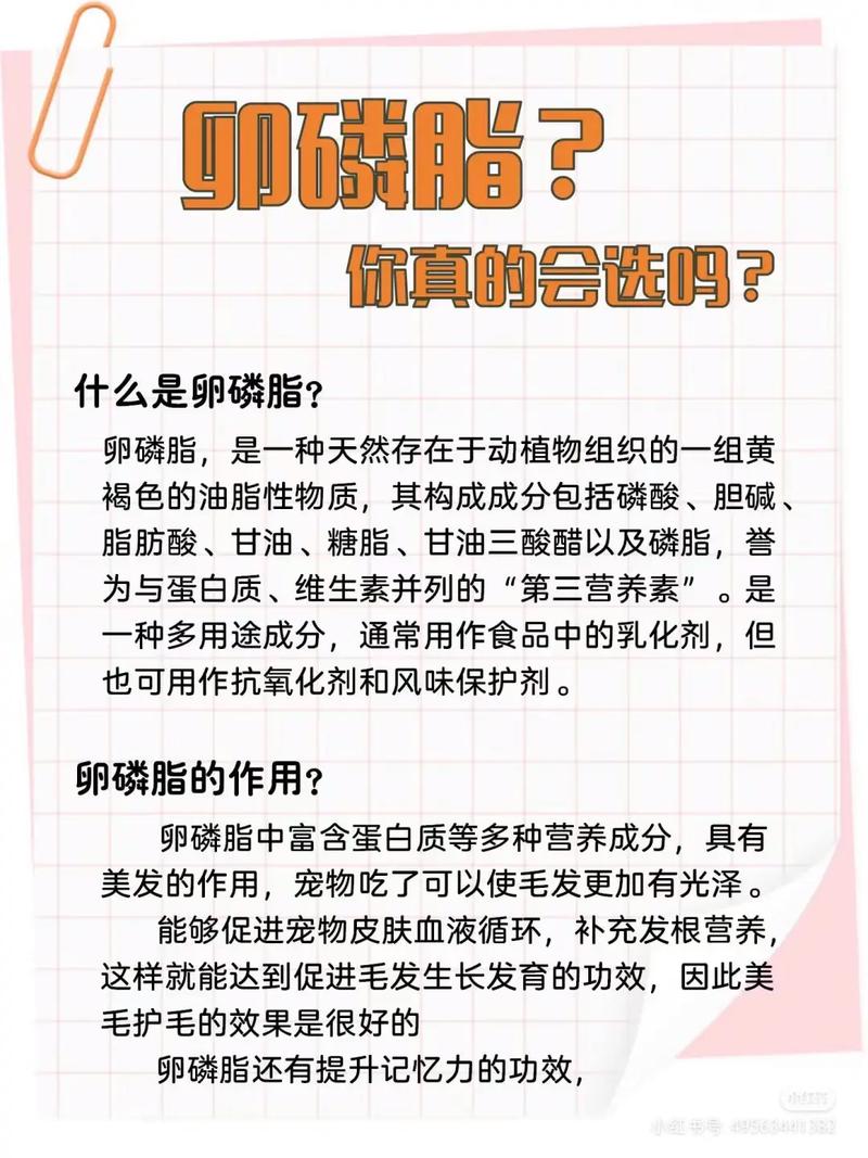 猫咪卵磷脂什么牌子好,猫咪卵磷脂哪个牌子好百度知道?-第1张图片-后鲨宠物 猫咪卵磷脂什么牌子好,猫咪卵磷脂哪个牌子好百度知道?-第1张图片-后鲨宠物