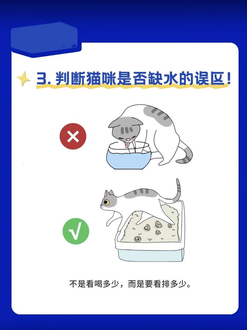 小猫咪不喝水怎么办，小猫咪不喝水怎么办?？-第1张图片-后鲨宠物