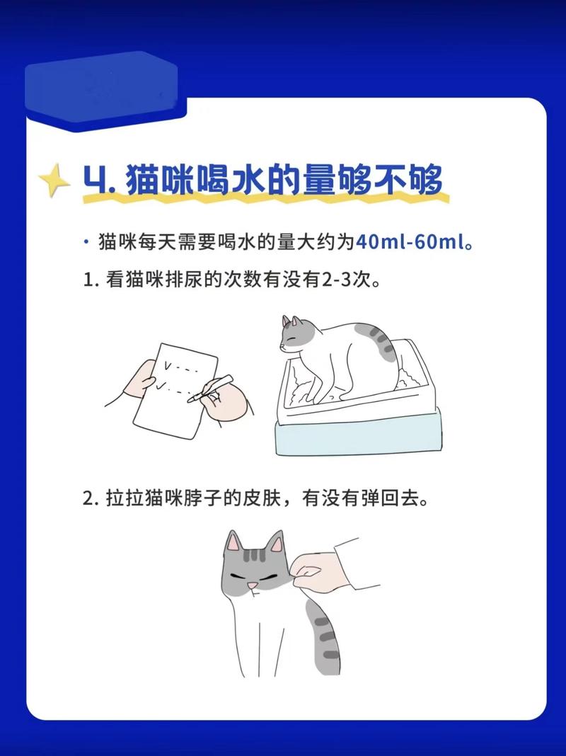 小猫咪不喝水怎么办，小猫咪不喝水怎么办?？-第2张图片-后鲨宠物