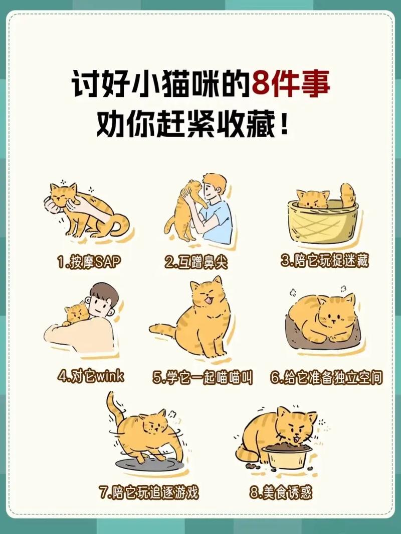 猫咪对着主人叫,猫咪对着主人叫还蹭脸?-第1张图片-后鲨宠物 猫咪对着主人叫,猫咪对着主人叫还蹭脸?-第1张图片-后鲨宠物