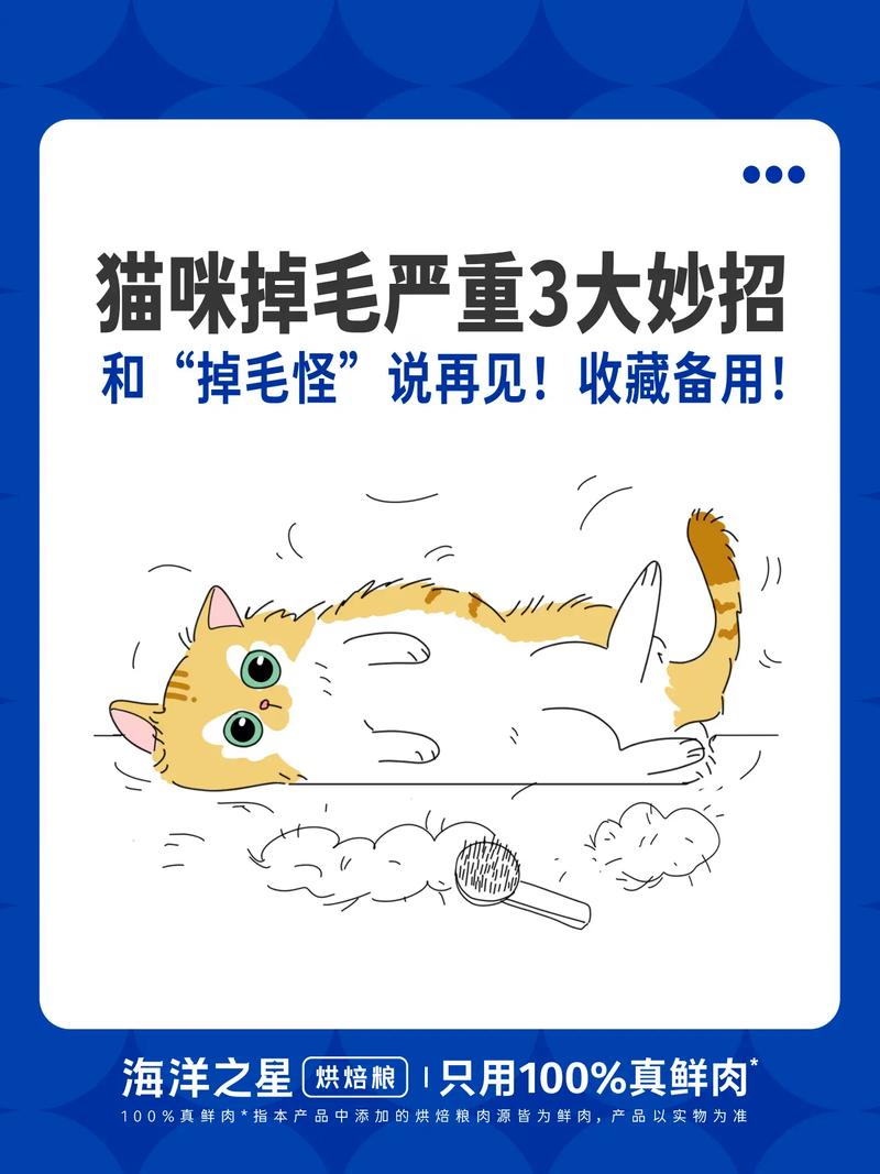 猫咪身上掉毛怎么办_猫身上脱毛怎么办-第1张图片-后鲨宠物 猫咪身上掉毛怎么办_猫身上脱毛怎么办-第1张图片-后鲨宠物