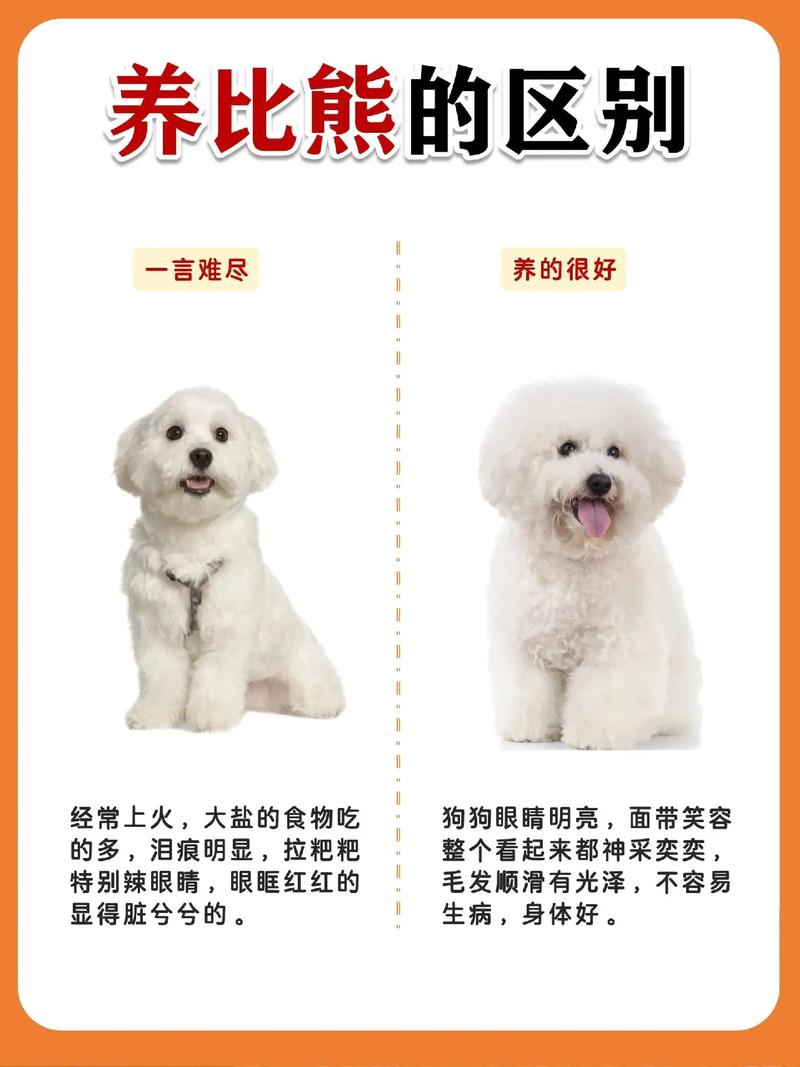 狗狗能吃驴肉吗_狗狗吃驴肉吗会怎么样-第1张图片-后鲨宠物 狗狗能吃驴肉吗_狗狗吃驴肉吗会怎么样-第1张图片-后鲨宠物