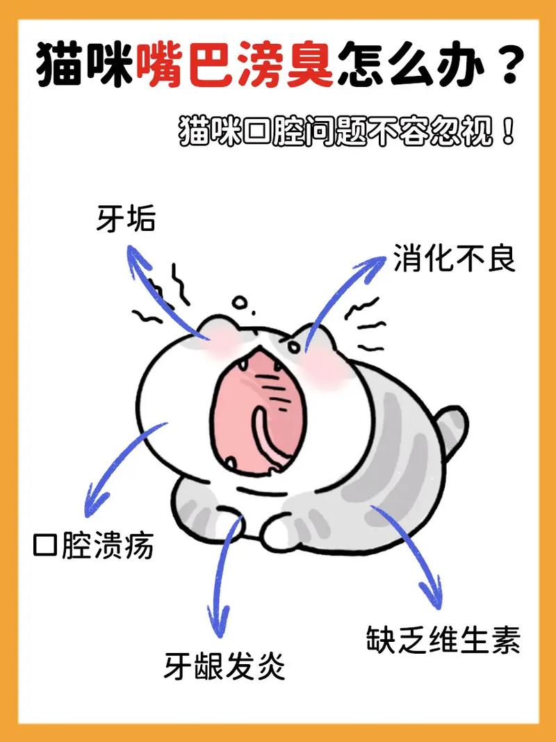 猫猫口臭怎么办,猫咪口臭咋整-第4张图片-后鲨宠物 猫猫口臭怎么办,猫咪口臭咋整-第4张图片-后鲨宠物