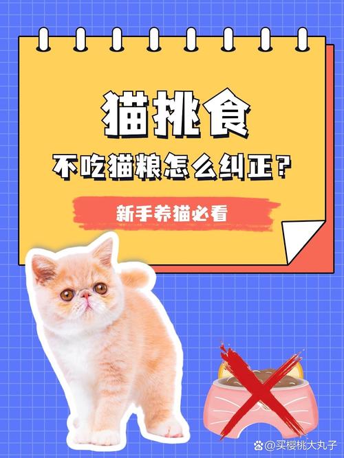 猫咪不爱吃猫粮怎么办,猫咪不爱吃猫粮怎么办呀?-第2张图片-后鲨宠物 猫咪不爱吃猫粮怎么办,猫咪不爱吃猫粮怎么办呀?-第2张图片-后鲨宠物