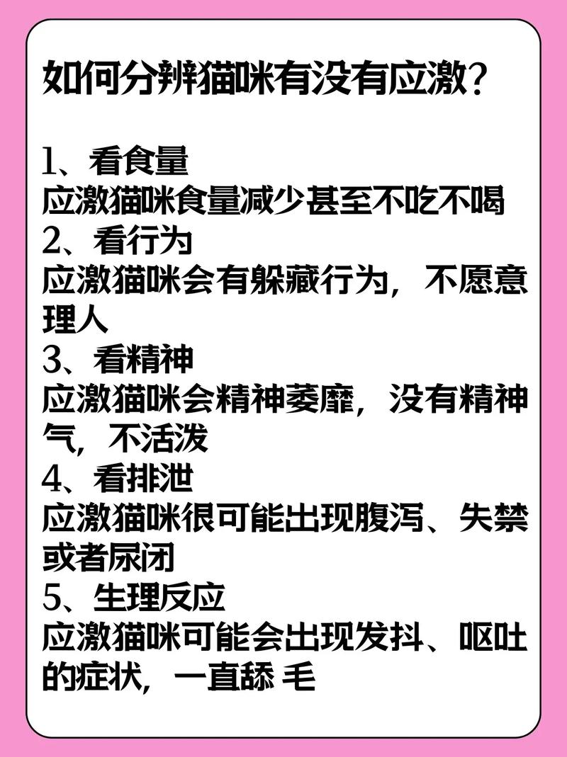  猫咪没有食欲精神不振，猫咪没有食欲精神不振怎么回事-第4张图片-后鲨宠物