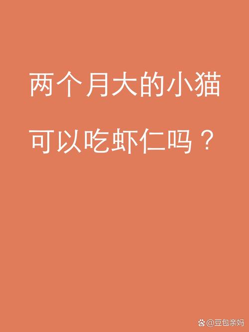 猫咪可以吃虾米吗,猫咪能吃虾米么?-第2张图片-后鲨宠物 猫咪可以吃虾米吗,猫咪能吃虾米么?-第2张图片-后鲨宠物