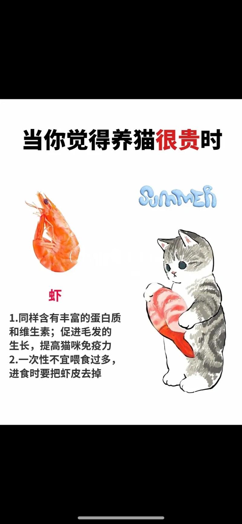 猫咪可以吃虾米吗,猫咪能吃虾米么?-第5张图片-后鲨宠物 猫咪可以吃虾米吗,猫咪能吃虾米么?-第5张图片-后鲨宠物