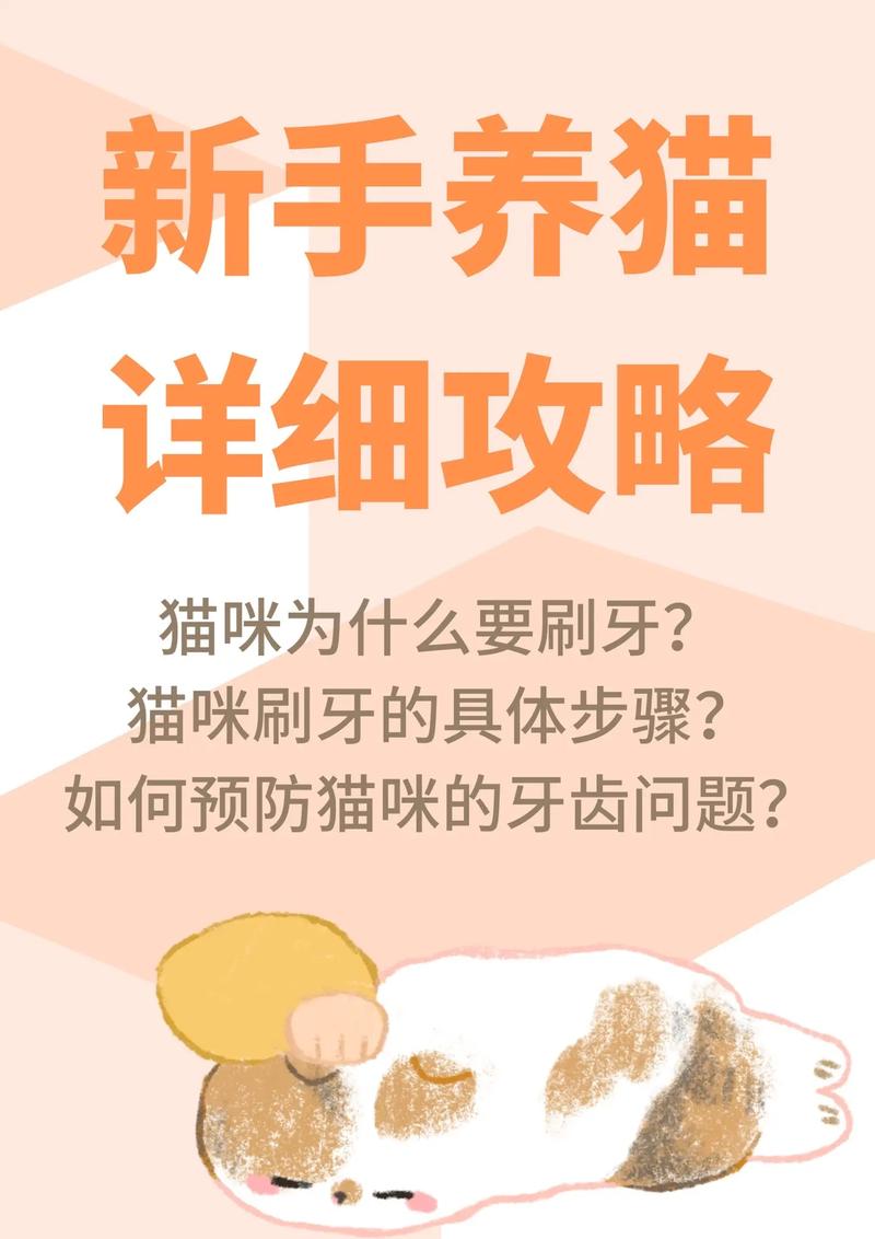 猫咪需要刷牙吗_怎么给猫刷牙-第2张图片-后鲨宠物 猫咪需要刷牙吗_怎么给猫刷牙-第2张图片-后鲨宠物