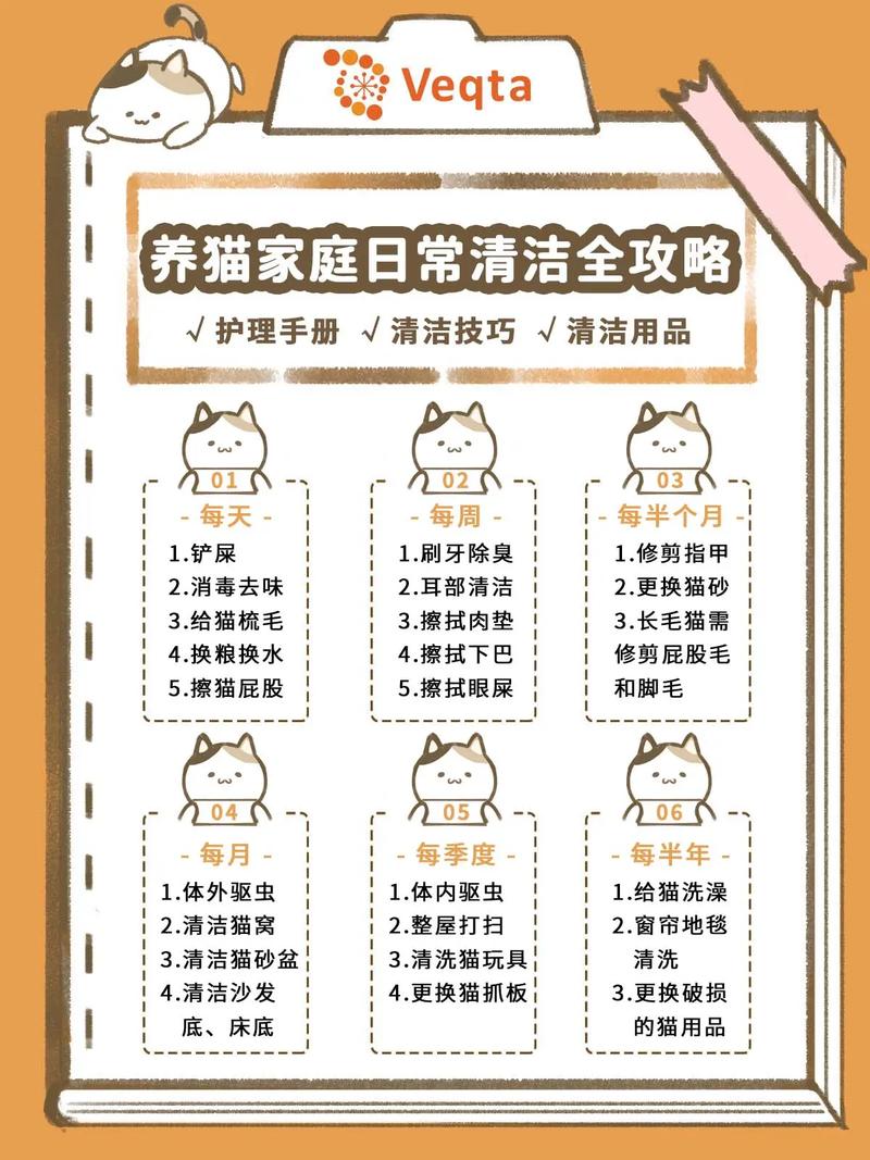 猫咪需要刷牙吗_怎么给猫刷牙-第5张图片-后鲨宠物 猫咪需要刷牙吗_怎么给猫刷牙-第5张图片-后鲨宠物