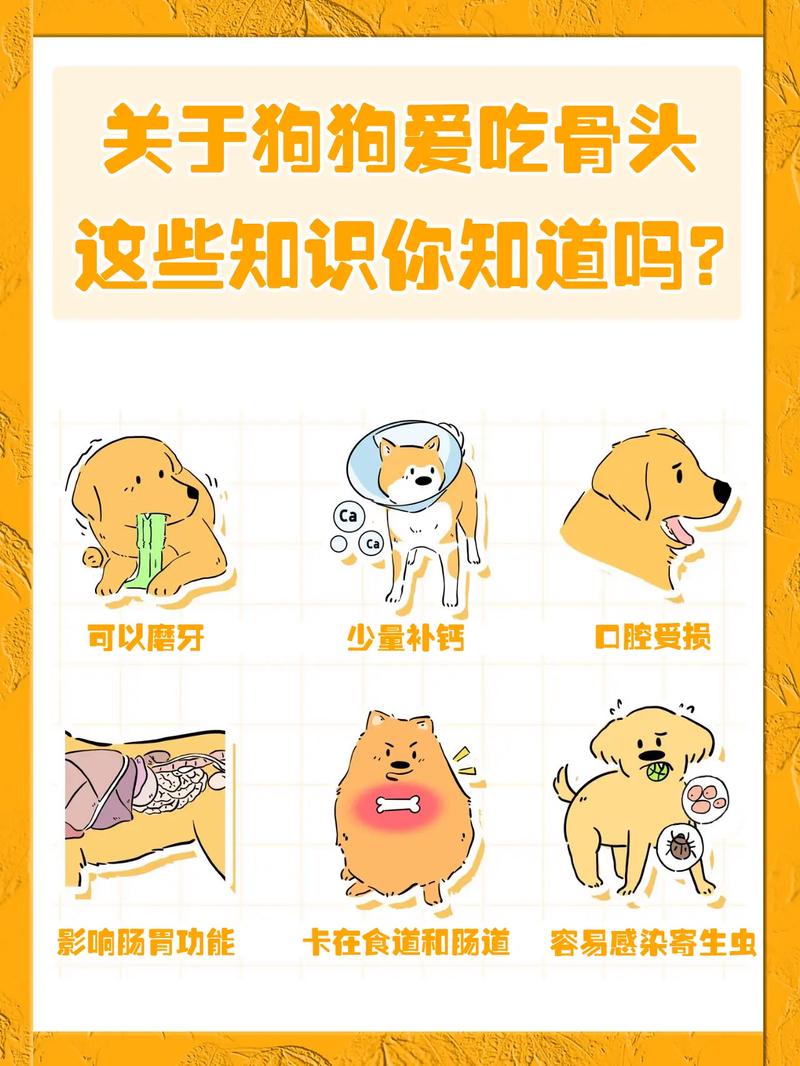 狗狗几个月可以吃骨头,狗狗几个月可以吃骨头了吗-第1张图片-后鲨宠物 狗狗几个月可以吃骨头,狗狗几个月可以吃骨头了吗-第1张图片-后鲨宠物