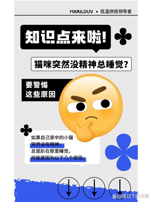 猫咪嗜睡是怎么回事,猫嗜睡是为什么-第2张图片-后鲨宠物 猫咪嗜睡是怎么回事,猫嗜睡是为什么-第2张图片-后鲨宠物