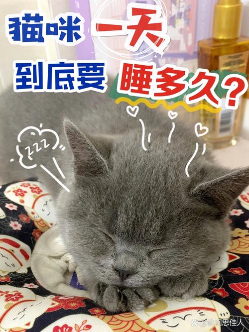 猫咪冬天爱睡觉_猫咪冬天爱睡觉吗?吃饭吃的少-第1张图片-后鲨宠物 猫咪冬天爱睡觉_猫咪冬天爱睡觉吗?吃饭吃的少-第1张图片-后鲨宠物