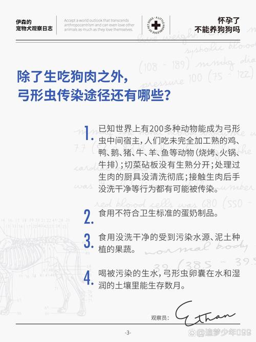 怀孕后能养狗狗吗_怀孕后能不能养狗狗-第1张图片-后鲨宠物 怀孕后能养狗狗吗_怀孕后能不能养狗狗-第1张图片-后鲨宠物