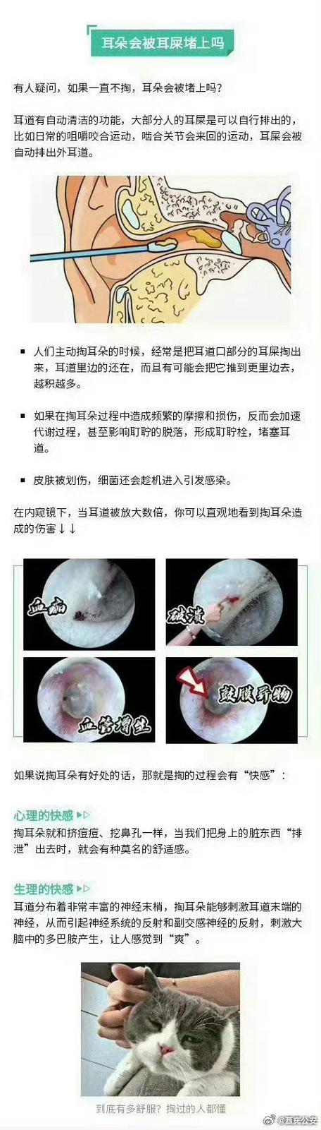 狗狗耳屎怎么清理,狗狗耳朵耳屎怎么处理-第5张图片-后鲨宠物 狗狗耳屎怎么清理,狗狗耳朵耳屎怎么处理-第5张图片-后鲨宠物