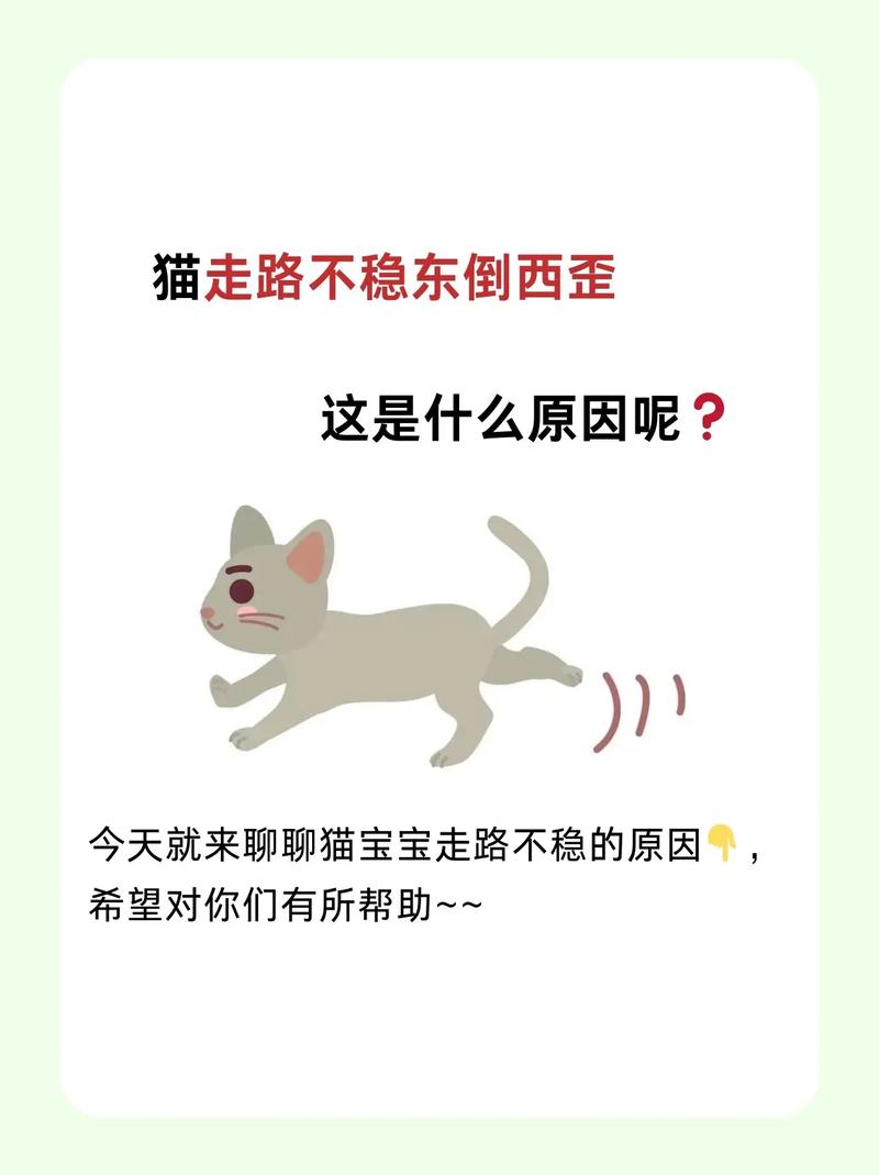 猫咪颅内出血症状,猫颅脑出血?-第1张图片-后鲨宠物 猫咪颅内出血症状,猫颅脑出血?-第1张图片-后鲨宠物