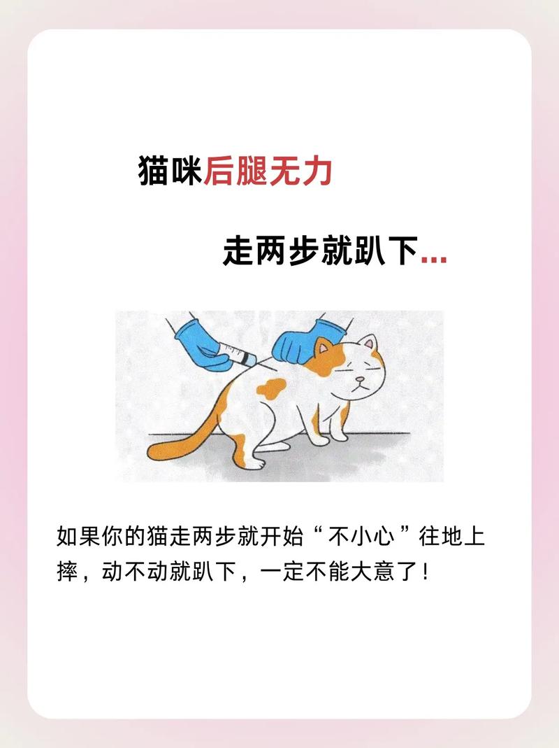 猫咪颅内出血症状,猫颅脑出血?-第4张图片-后鲨宠物 猫咪颅内出血症状,猫颅脑出血?-第4张图片-后鲨宠物