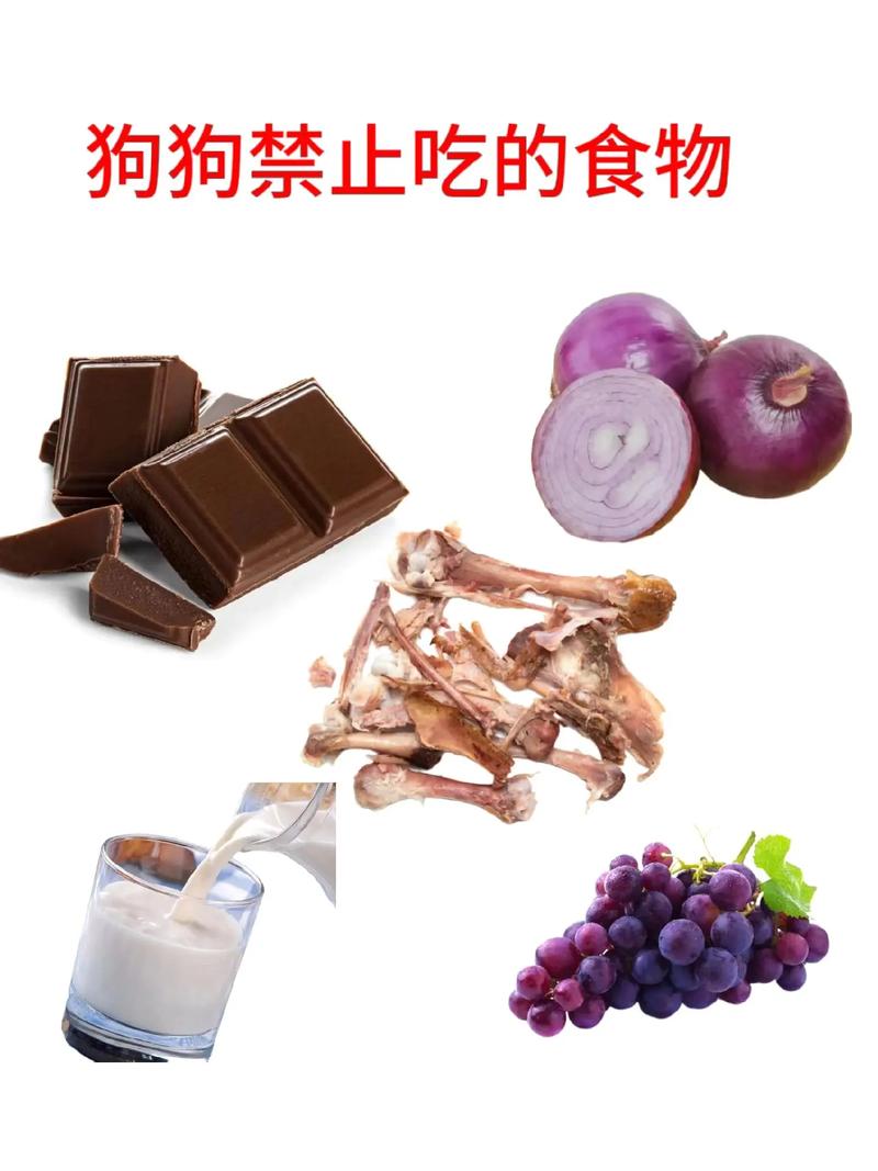 狗狗可不可以吃巧克力,狗狗可不可以吃巧克力雪糕-第2张图片-后鲨宠物 狗狗可不可以吃巧克力,狗狗可不可以吃巧克力雪糕-第2张图片-后鲨宠物