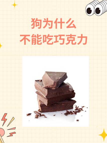 狗狗可不可以吃巧克力,狗狗可不可以吃巧克力雪糕-第3张图片-后鲨宠物 狗狗可不可以吃巧克力,狗狗可不可以吃巧克力雪糕-第3张图片-后鲨宠物