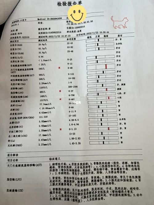猫咪做生化多少钱,猫咪做生化多少钱检查一次?-第4张图片-后鲨宠物 猫咪做生化多少钱,猫咪做生化多少钱检查一次?-第4张图片-后鲨宠物