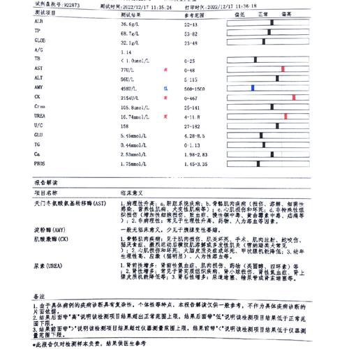 猫咪做生化多少钱,猫咪做生化多少钱检查一次?-第6张图片-后鲨宠物 猫咪做生化多少钱,猫咪做生化多少钱检查一次?-第6张图片-后鲨宠物