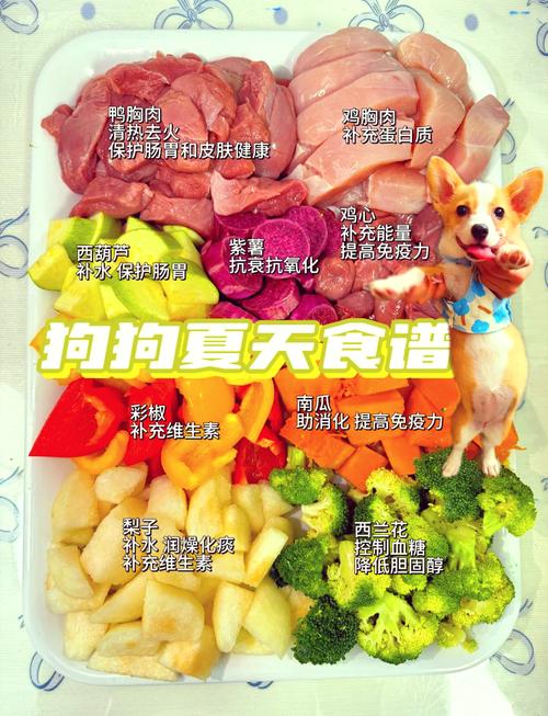 狗狗上火了吃什么降火,狗狗上火吃什么??-第4张图片-后鲨宠物 狗狗上火了吃什么降火,狗狗上火吃什么??-第4张图片-后鲨宠物