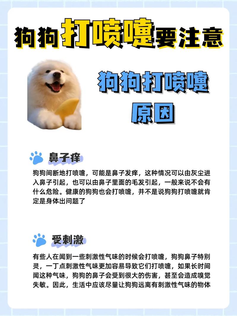 狗狗打喷嚏怎么回事,狗狗打喷嚏怎么回事有鼻涕?-第1张图片-后鲨宠物 狗狗打喷嚏怎么回事,狗狗打喷嚏怎么回事有鼻涕?-第1张图片-后鲨宠物