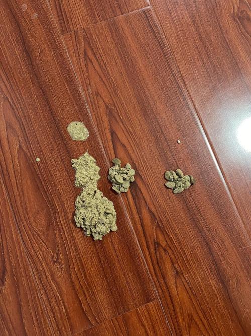 猫咪吐了白沫子怎么办_猫吐了白色黏液或泡沫怎么回事-第3张图片-后鲨宠物 猫咪吐了白沫子怎么办_猫吐了白色黏液或泡沫怎么回事-第3张图片-后鲨宠物