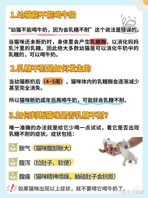 猫咪喝了牛奶怎么办_猫咪喝了牛奶怎么办没事吧-第3张图片-后鲨宠物 猫咪喝了牛奶怎么办_猫咪喝了牛奶怎么办没事吧-第3张图片-后鲨宠物